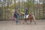 Badyhoeve is een terrein dat tot 3kinderen en hun pony's met de hond Djackson behoort.