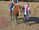 Badyhoeve is een terrein dat tot 3kinderen en hun pony's met de hond Djackson behoort.