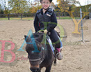 Badyhoeve is een terrein dat tot 3kinderen en hun pony's met de hond Djackson behoort.