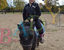 Badyhoeve is een terrein dat tot 3kinderen en hun pony's met de hond Djackson behoort.
