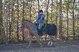 Badyhoeve is een terrein dat tot 3kinderen en hun pony's met de hond Djackson behoort.