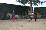 Badyhoeve is een terrein dat tot 3kinderen en hun pony's met de hond Djackson behoort.