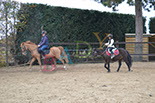 Badyhoeve is een terrein dat tot 3kinderen en hun pony's met de hond Djackson behoort.