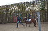 Badyhoeve is een terrein dat tot 3kinderen en hun pony's met de hond Djackson behoort.