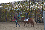 Badyhoeve is een terrein dat tot 3kinderen en hun pony's met de hond Djackson behoort.