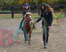 Badyhoeve is een terrein dat tot 3kinderen en hun pony's met de hond Djackson behoort.