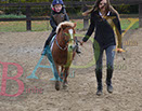 Badyhoeve is een terrein dat tot 3kinderen en hun pony's met de hond Djackson behoort.