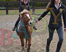 Badyhoeve is een terrein dat tot 3kinderen en hun pony's met de hond Djackson behoort.