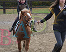 Badyhoeve is een terrein dat tot 3kinderen en hun pony's met de hond Djackson behoort.