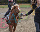 Badyhoeve is een terrein dat tot 3kinderen en hun pony's met de hond Djackson behoort.