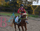 Badyhoeve is een terrein dat tot 3kinderen en hun pony's met de hond Djackson behoort.