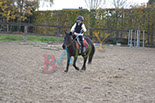 Badyhoeve is een terrein dat tot 3kinderen en hun pony's met de hond Djackson behoort.