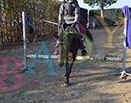 Badyhoeve is een terrein dat tot 3kinderen en hun pony's met de hond Djackson behoort.