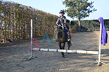 Badyhoeve is een terrein dat tot 3kinderen en hun pony's met de hond Djackson behoort.