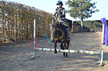 Badyhoeve is een terrein dat tot 3kinderen en hun pony's met de hond Djackson behoort.