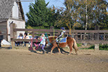 Badyhoeve is een terrein dat tot 3kinderen en hun pony's met de hond Djackson behoort.