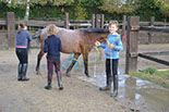 Badyhoeve is een terrein dat tot 3kinderen en hun pony's met de hond Djackson behoort.