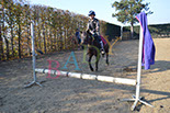 Badyhoeve is een terrein dat tot 3kinderen en hun pony's met de hond Djackson behoort.