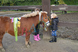 Badyhoeve is een terrein dat tot 3kinderen en hun pony's met de hond Djackson behoort.