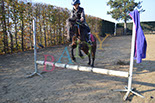 Badyhoeve is een terrein dat tot 3kinderen en hun pony's met de hond Djackson behoort.