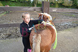 Badyhoeve is een terrein dat tot 3kinderen en hun pony's met de hond Djackson behoort.