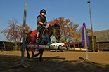 Badyhoeve is een terrein dat tot 3kinderen en hun pony's met de hond Djackson behoort.