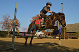 Badyhoeve is een terrein dat tot 3kinderen en hun pony's met de hond Djackson behoort.