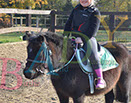 Badyhoeve is een terrein dat tot 3kinderen en hun pony's met de hond Djackson behoort.