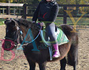 Badyhoeve is een terrein dat tot 3kinderen en hun pony's met de hond Djackson behoort.