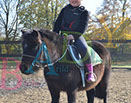 Badyhoeve is een terrein dat tot 3kinderen en hun pony's met de hond Djackson behoort.