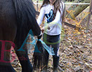 Badyhoeve is een terrein dat tot 3kinderen en hun pony's met de hond Djackson behoort.