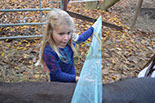 Badyhoeve is een terrein dat tot 3kinderen en hun pony's met de hond Djackson behoort.