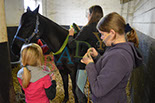 Badyhoeve is een terrein dat tot 3kinderen en hun pony's met de hond Djackson behoort.