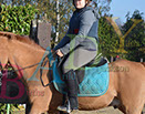 Badyhoeve is een terrein dat tot 3kinderen en hun pony's met de hond Djackson behoort.