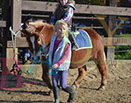 Badyhoeve is een terrein dat tot 3kinderen en hun pony's met de hond Djackson behoort.