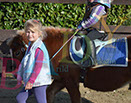 Badyhoeve is een terrein dat tot 3kinderen en hun pony's met de hond Djackson behoort.