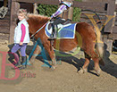 Badyhoeve is een terrein dat tot 3kinderen en hun pony's met de hond Djackson behoort.