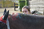 Badyhoeve is een terrein dat tot 3kinderen en hun pony's met de hond Djackson behoort.