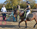 Badyhoeve is een terrein dat tot 3kinderen en hun pony's met de hond Djackson behoort.