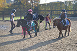 Badyhoeve is een terrein dat tot 3kinderen en hun pony's met de hond Djackson behoort.