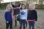 Badyhoeve is een terrein dat tot 3kinderen en hun pony's met de hond Djackson behoort.