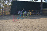 Badyhoeve is een terrein dat tot 3kinderen en hun pony's met de hond Djackson behoort.