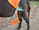 Badyhoeve is een terrein dat tot 3kinderen en hun pony's met de hond Djackson behoort.