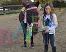 Badyhoeve is een terrein dat tot 3kinderen en hun pony's met de hond Djackson behoort.