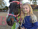 Badyhoeve is een terrein dat tot 3kinderen en hun pony's met de hond Djackson behoort.
