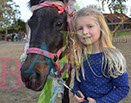 Badyhoeve is een terrein dat tot 3kinderen en hun pony's met de hond Djackson behoort.