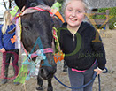 Badyhoeve is een terrein dat tot 3kinderen en hun pony's met de hond Djackson behoort.