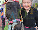Badyhoeve is een terrein dat tot 3kinderen en hun pony's met de hond Djackson behoort.