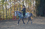 Badyhoeve is een terrein dat tot 3kinderen en hun pony's met de hond Djackson behoort.