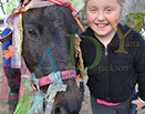 Badyhoeve is een terrein dat tot 3kinderen en hun pony's met de hond Djackson behoort.